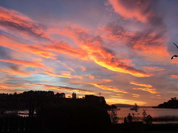 2018-01-18_21-23-23_879