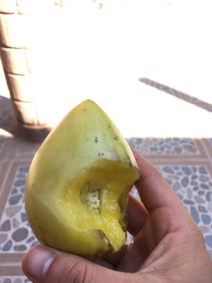 2018-01-27_16-58-03_344