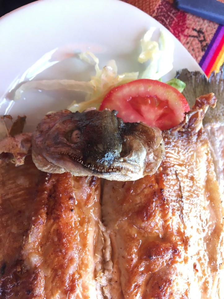 2018-02-06_12-04-30_711