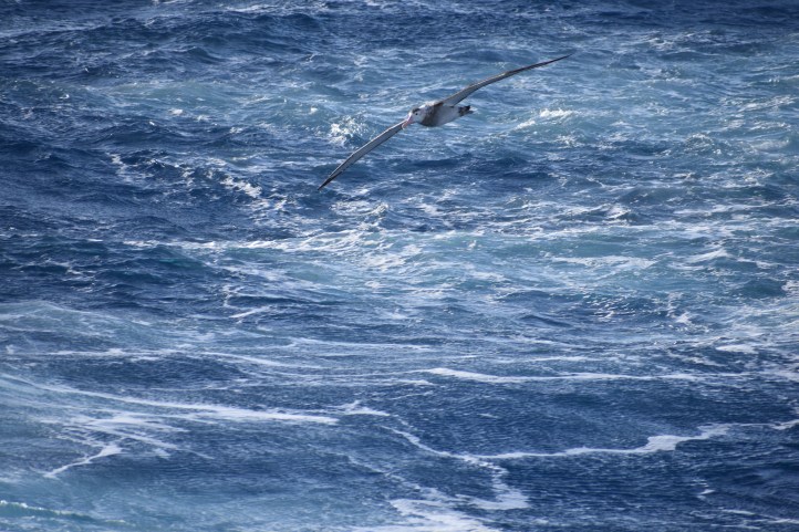 DSC_0970- Annie John